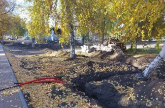 кабель в парке