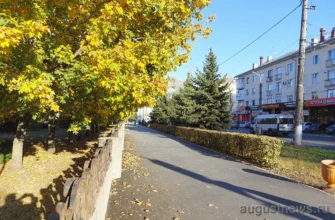 осень в городе