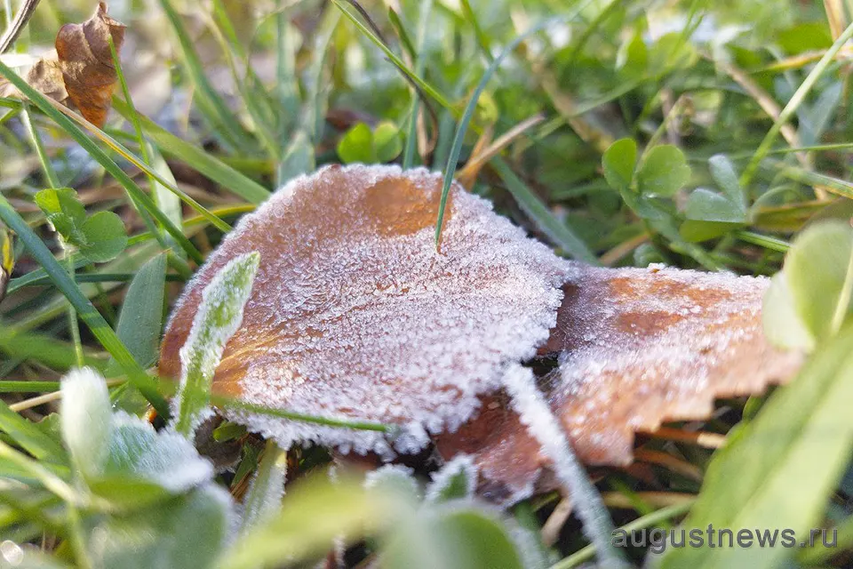 заморозки осенью