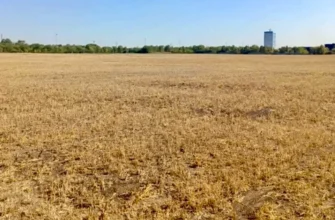 рекультивированная свалка напротив 1-3 вставки