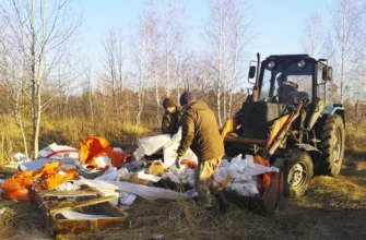 ликвидация свалки в лесу