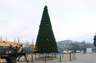 установка новогодней ели на площади