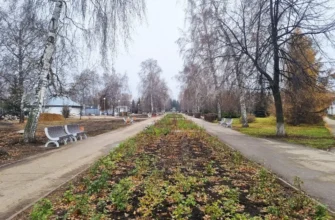 аллея в парке Центрального района осенью