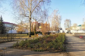 клумба в парке Центрального района