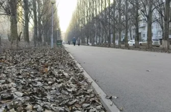 тротуар после ремонта