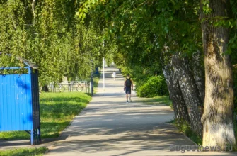 пешеходная дорога на баныкина вся в зелени деревьев
