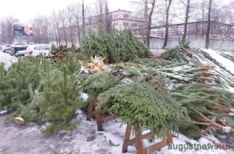 елочный базар на Голосова 75