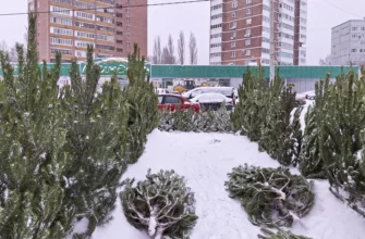 елочный базар на улице Мира