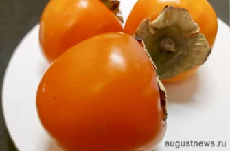 хурма спелая лежит на тарелке