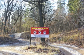 информационный стенд в лесу