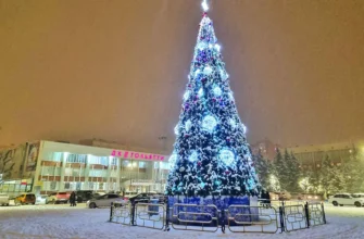 новогдняя ель на Центральной площади