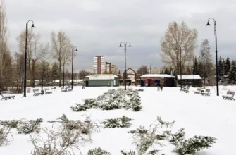 парк Центрального района зимой