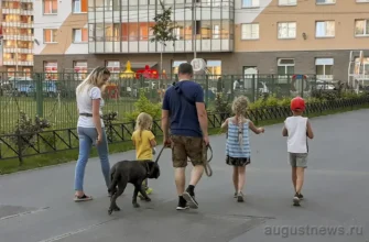 многодетная семья на прогулке