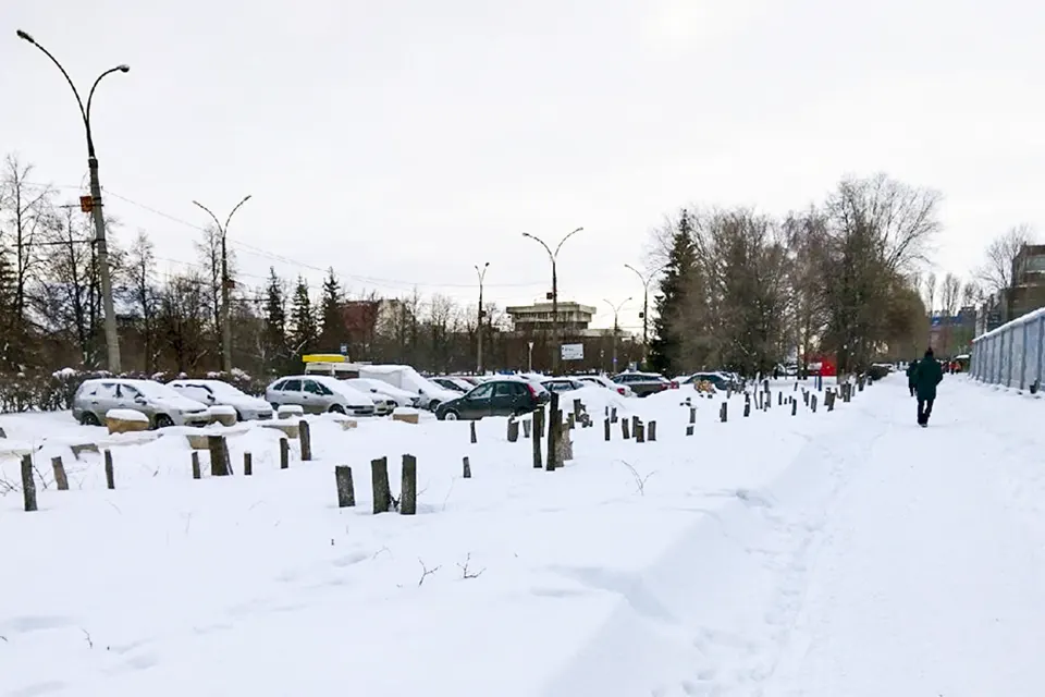 вырублены деревья на улице Революцонной