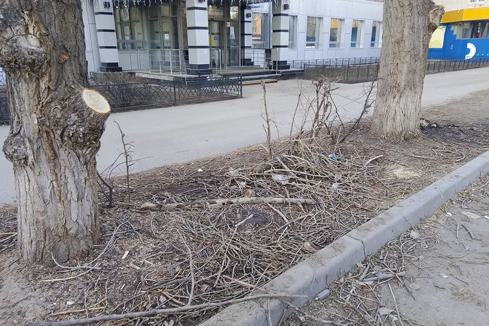мусор и ветки на улице Мира