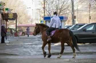 девушка на коне в Тольятти