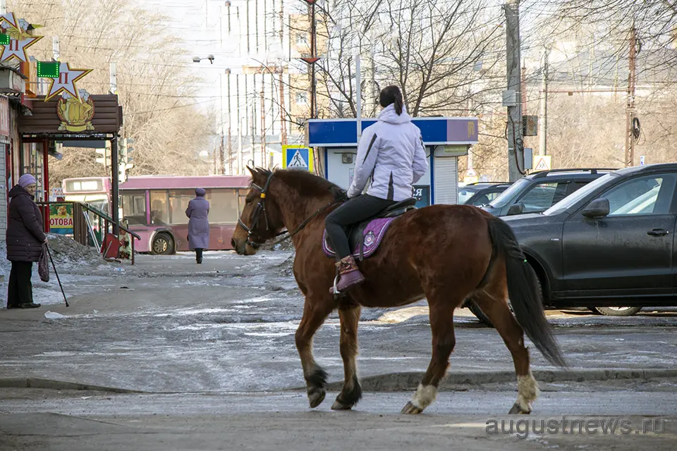 девушка на коне в Тольятти