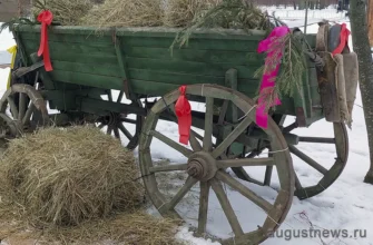 телега груженная сеном на снегу