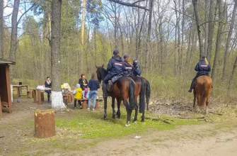 конная полиция патрулирует лес