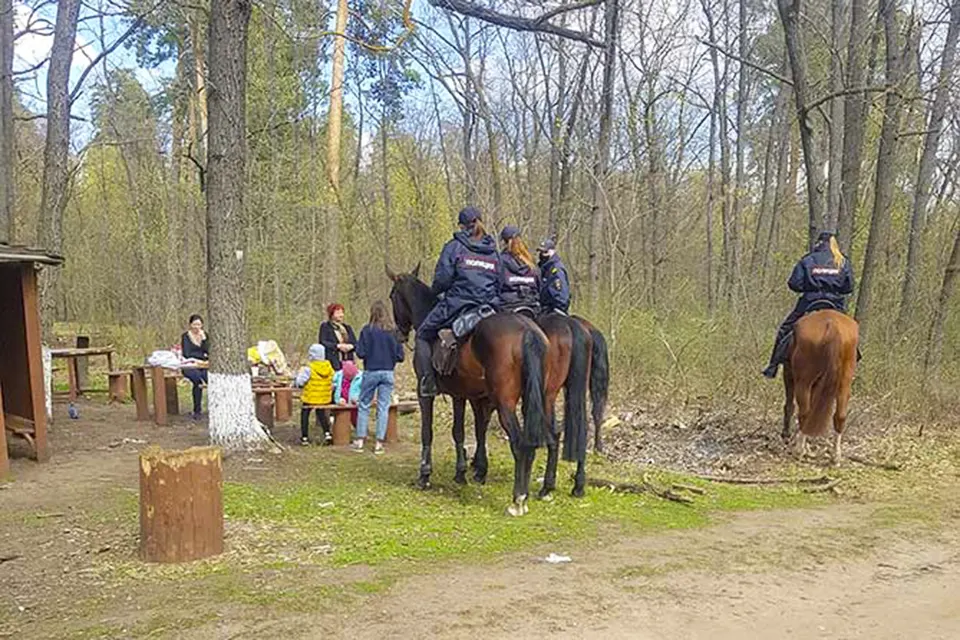 конная полиция патрулирует лес