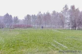 идет сильный снег весной