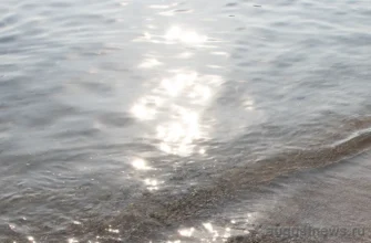 в море отражается солнце