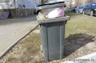 полный мусорный бачок во дворе Тольятти