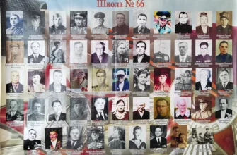 фото участников ВОВ в школе №66