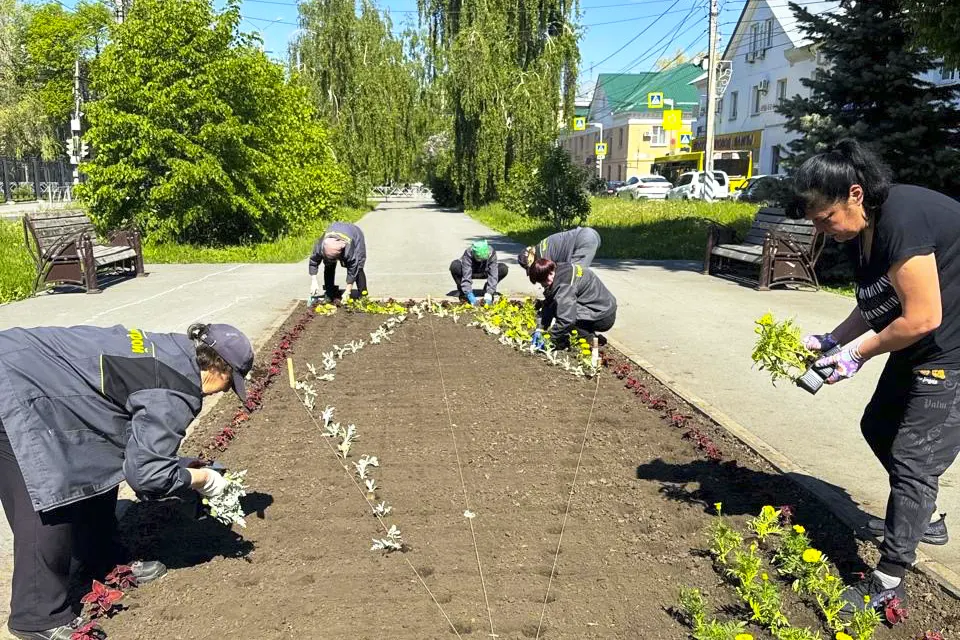 посадка цветов на улице Карла Маркса