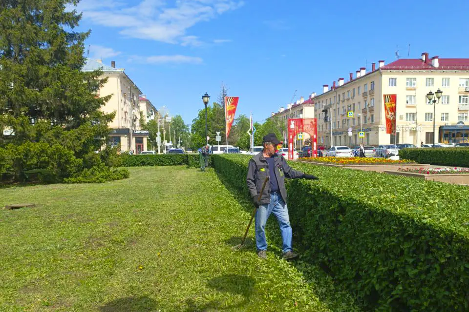 стрижка кустарника на площади Свободы