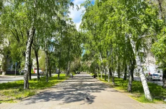 аллея на Молодежном бульваре