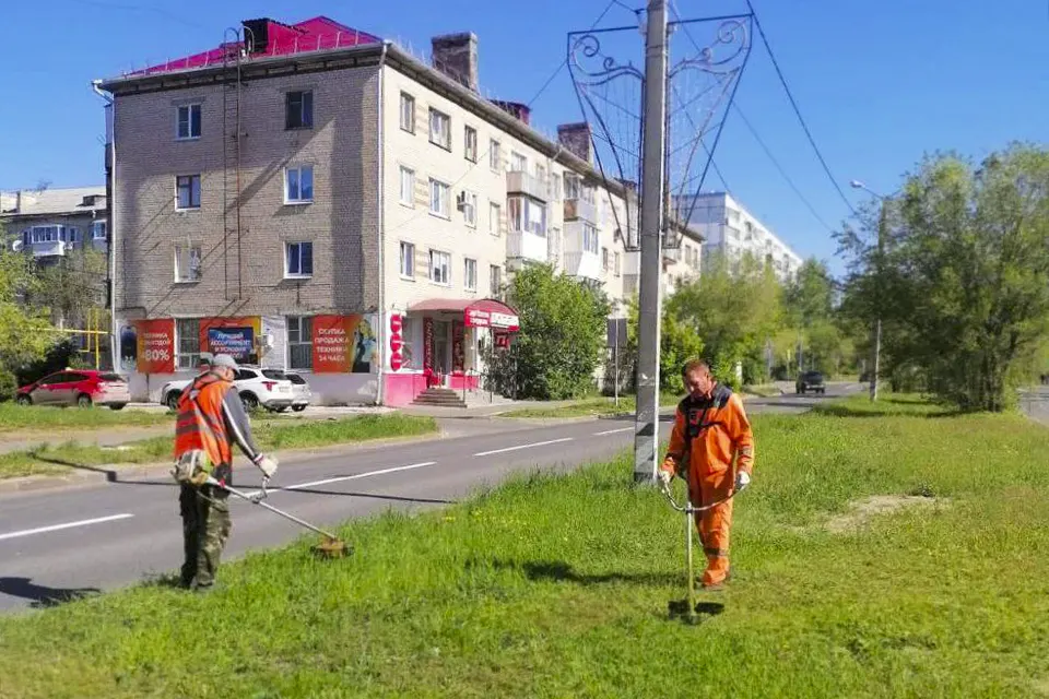 покос травы на газоне