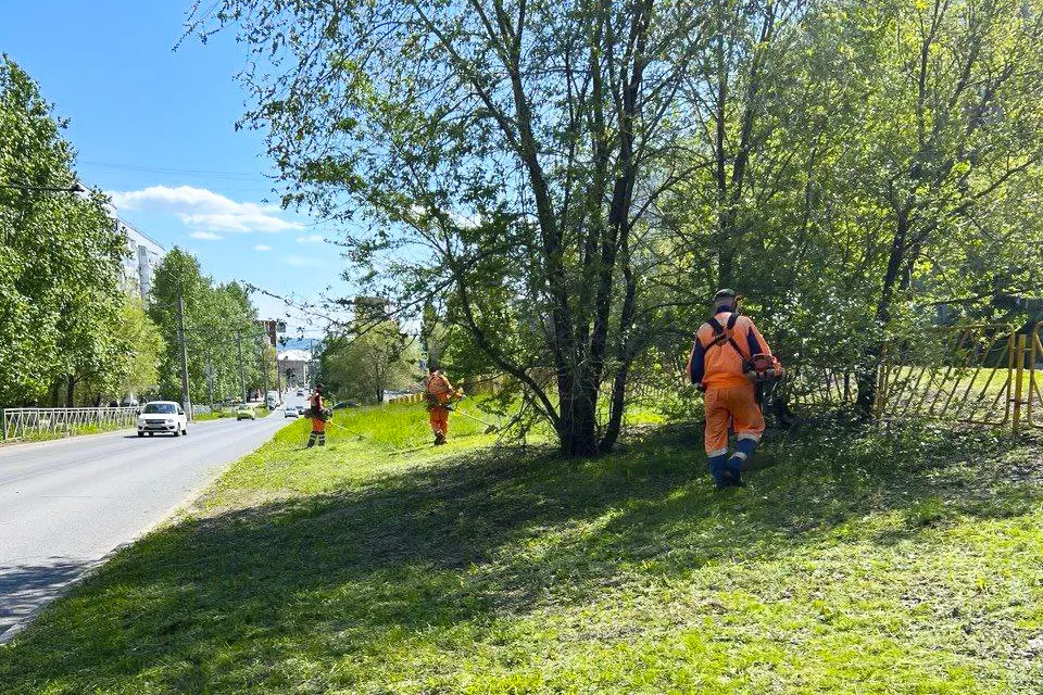 покос травы в Комсомольском районе