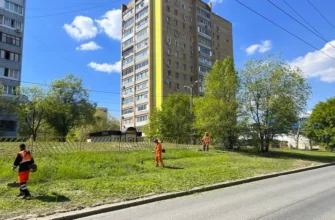 покос травы на обочине дороги