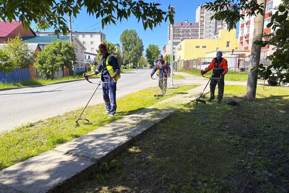 покос травы на газоне