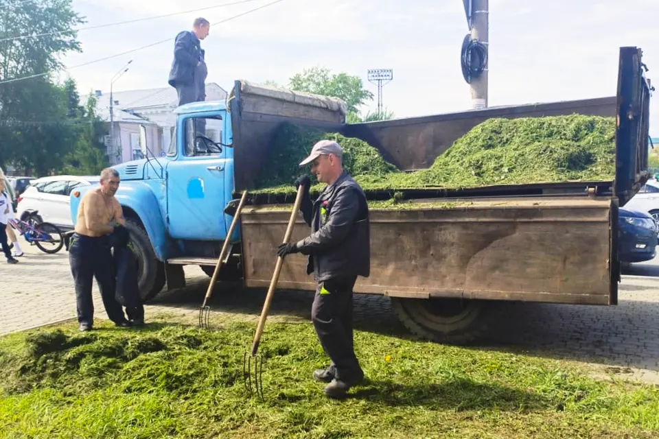 сбор скошенной травы