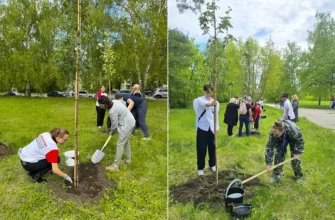 посадка саженцев в Саду защитников Отечества