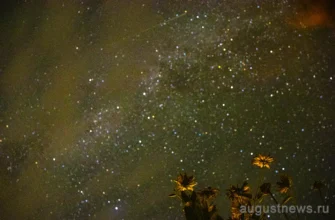 звездопад в небе Самарской области