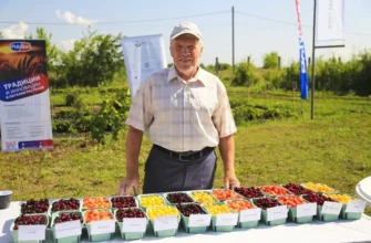 Анатолий Минин