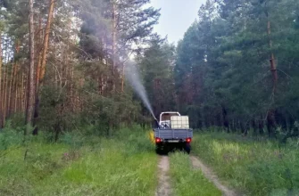 обработка леса от вредителей