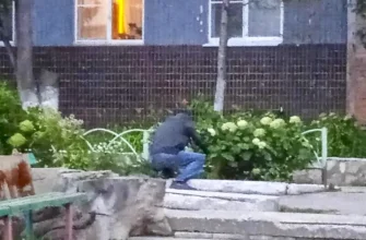 наркоман ищет закладку