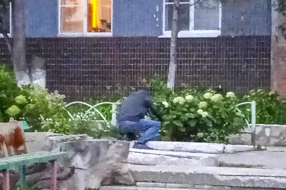 наркоман ищет закладку