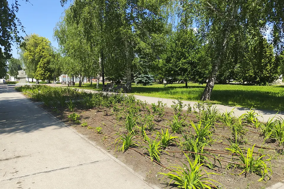 клумба на аллее в парке