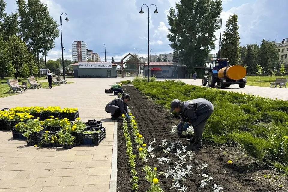 посадка цветов в парке