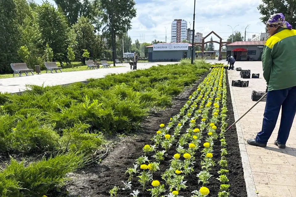 цветы на клумбе в парке