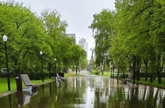 дождь в парке