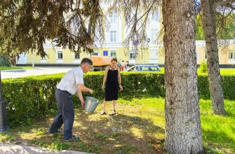 полив елей на Центральной площади