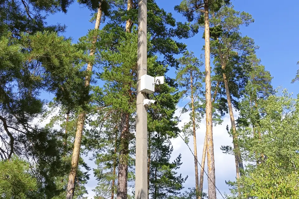 камера видеонаблюдения в лесу