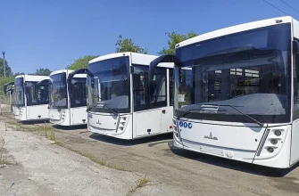 новые автобусы МАЗ
