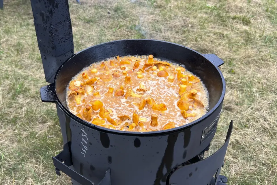 блюдо из рыбы с лисичками